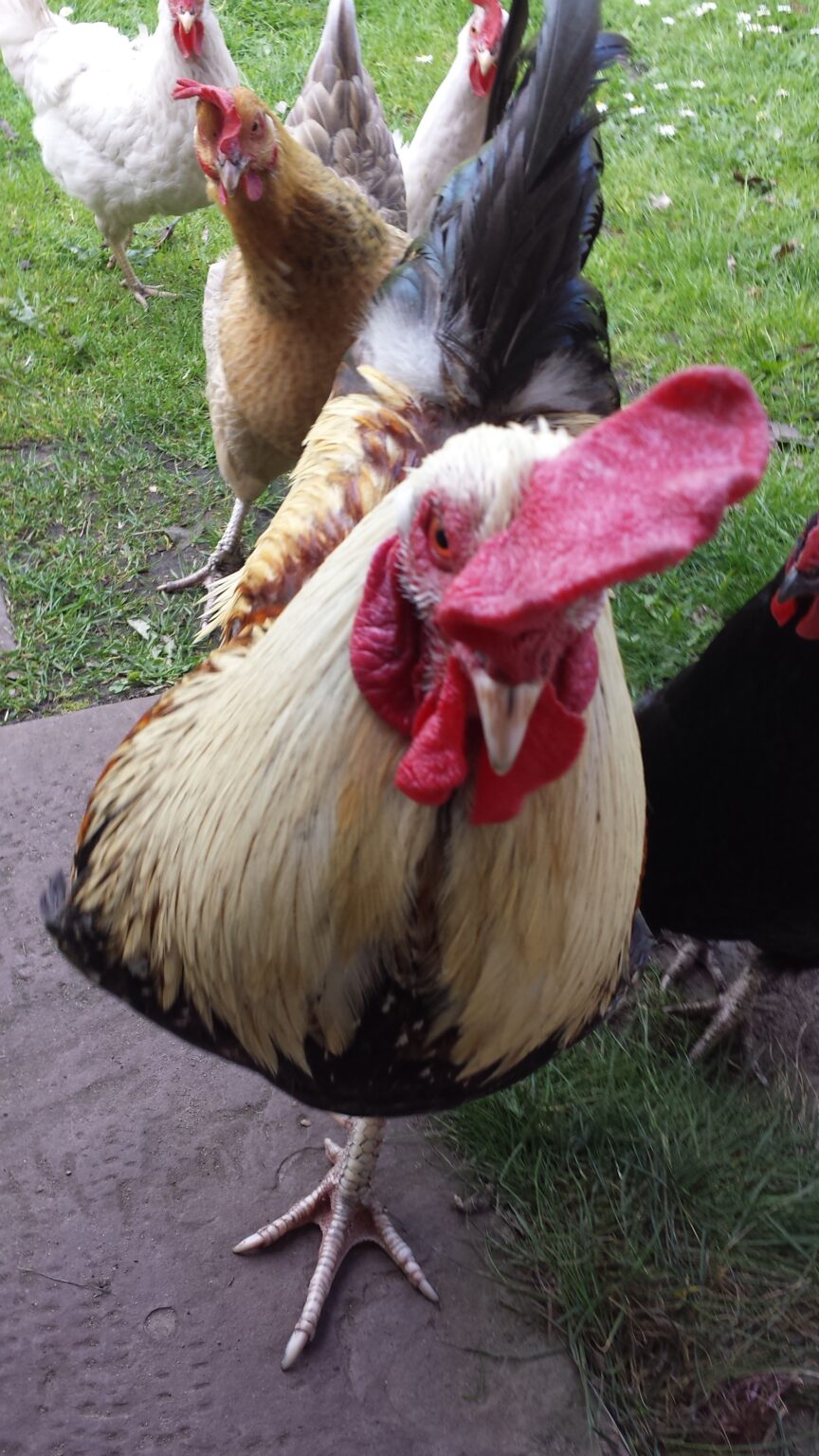 Die Werkstatt | Tausendundeine Nacht Die Werkstatt | Tausendundeine Nacht